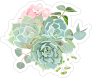 Delicate Succulent Bouquet Sticker