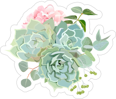 Delicate Succulent Bouquet Sticker