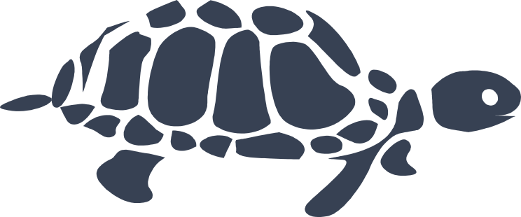 Delightful Turtle Sticker