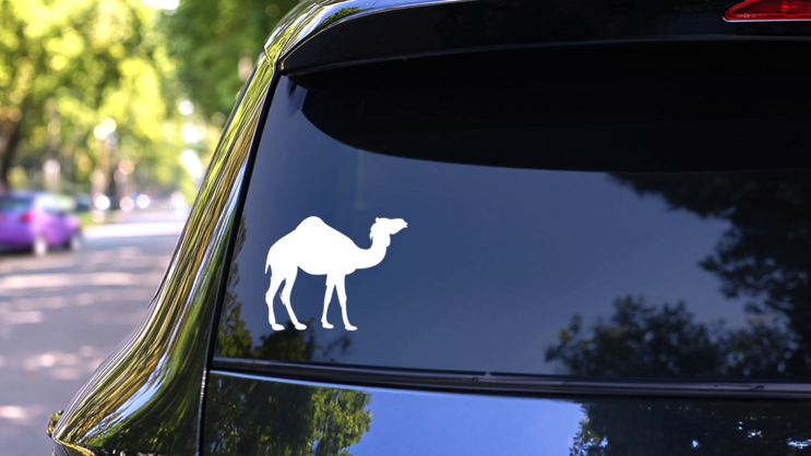 Desert Camel Sticker on a Rear Car Window (New) example