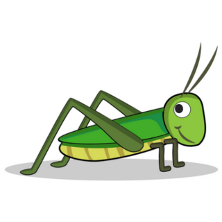 Design Nature Concept Insect Of Grasshopper Sticker 
