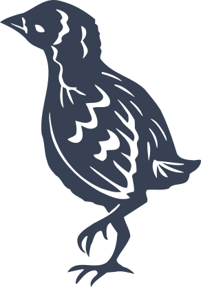 Detailed Baby Chick Chicken Sticker