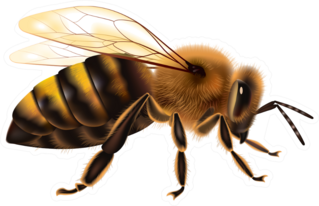 Detailed Bee Sticker