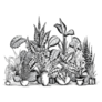 Detailed Black and White Illustration of Various House Plants Sticker