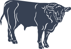 Detailed Bull Sticker