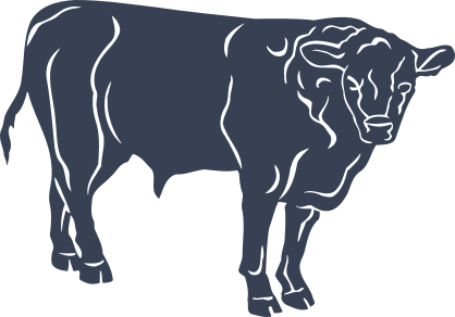 Detailed Bull Sticker