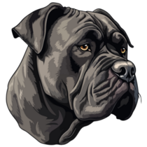 Detailed Corso Face Sticker