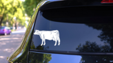 Detailed Cow Sticker on a Rear Car Window (New) example