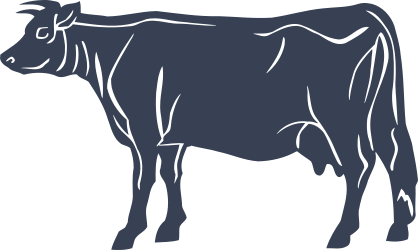 Detailed Cow Sticker
