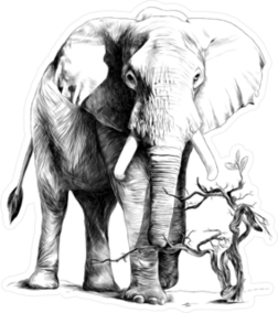 Detailed Elephant Drawing Sticker