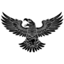 Detailed Hawk Sticker