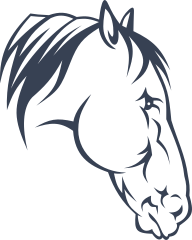 Detailed Horse Head Sticker