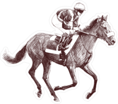Detailed Illustration Of A Racing Horse And Jockey Sticker