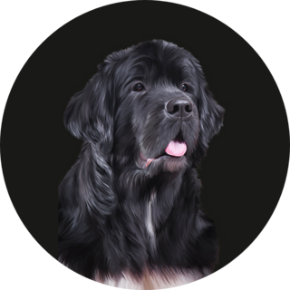 Detailed Newfoundland Sticker