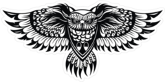 Detailed Owl Spreading His Wings Sticker
