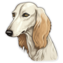 Detailed Saluki Face Sticker