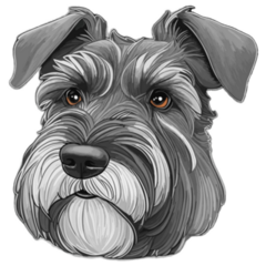 Detailed Schnauzer Sticker