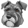 Detailed Schnauzer Sticker