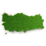 Detailed Turkey Map Green Grass Sticker