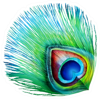 Detailed Turquoise Peacock Feather Isolated Sticker