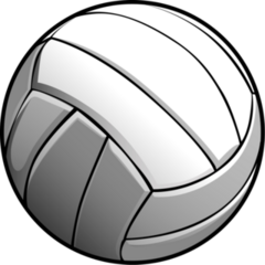 Detailed Volleyball Ball Illustration Sticker