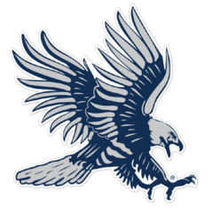 Dickinson State Blue Hawks NCAA Logo Sticker