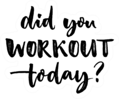 Did You Workout Today? Sport Slogan Sticker