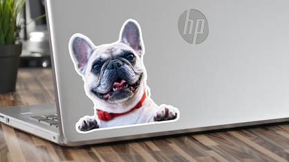 Die-Cut Dog Photo Laptop Sticker