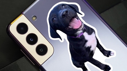 Die Cut Dog Photo Phone Sticker