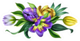 Digital Illustration Botanical Arrangement Tulip Sticker