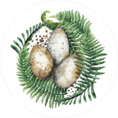 Dinosaur Egg Nest Watercolor Sticker
