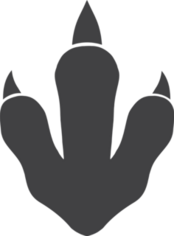 Dinosaur Foot Print Sticker