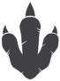 Dinosaur Footprint Sticker
