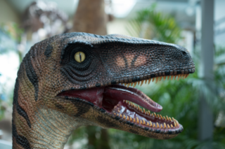 Dinosaur Growling with Open Mouth Sticker