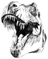 Dinosaur Head Sketch Sticker
