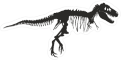 Dinosaur Skeleton Sticker