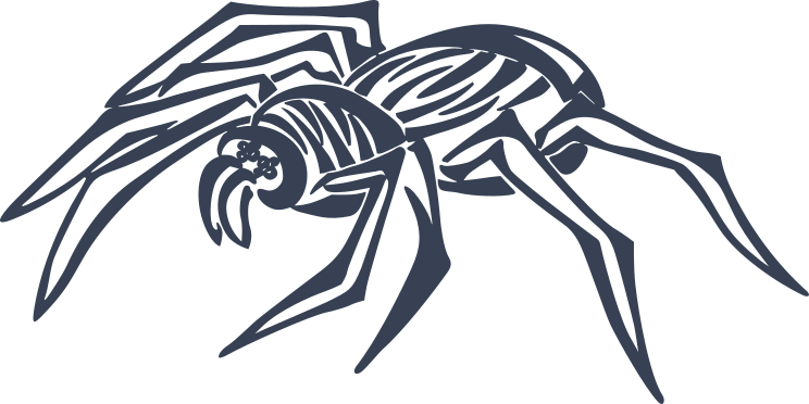 Discreet Spider Sticker