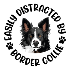 Distracted Border Collie Sticker