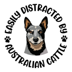 Distracted Cattle Dog Sticker