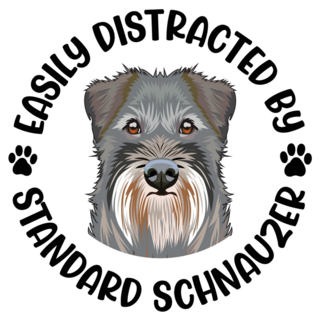 Distracted Schnauzer Sticker