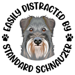 Distracted Schnauzer Sticker