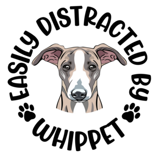 Distracted Whippet Sticker