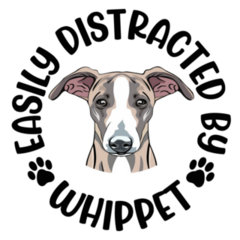 Distracted Whippet Sticker