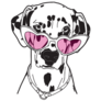 Diva Dalmatian Sticker