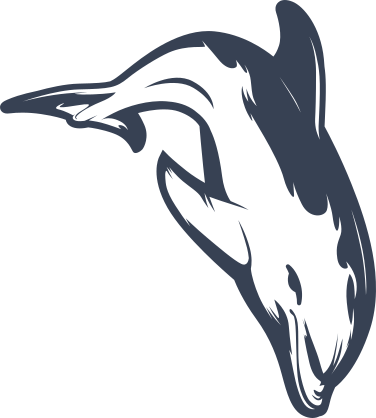 Diving Dolphin Sticker