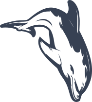 Diving Dolphin Sticker