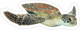Diving Turtle Sticker