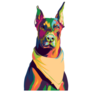 Doberman Bandana Sticker