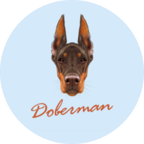 Doberman Blue Text Sticker
