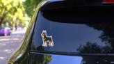 Doberman Cartoon Silly Sticker on a Rear Car Window (New) example